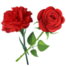 Atividade de Língua Portuguesa - Cantiga Popular: o Cravo e a Rosa - 1º ano