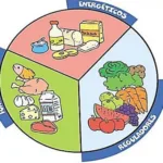 atividade alimentação saudável