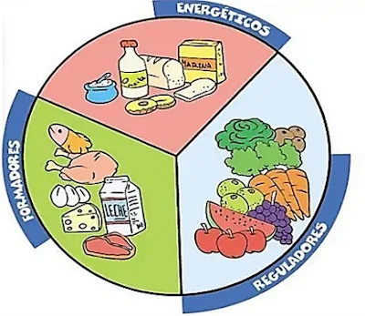 atividade alimentação saudável