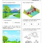 atividade sobre paisagem