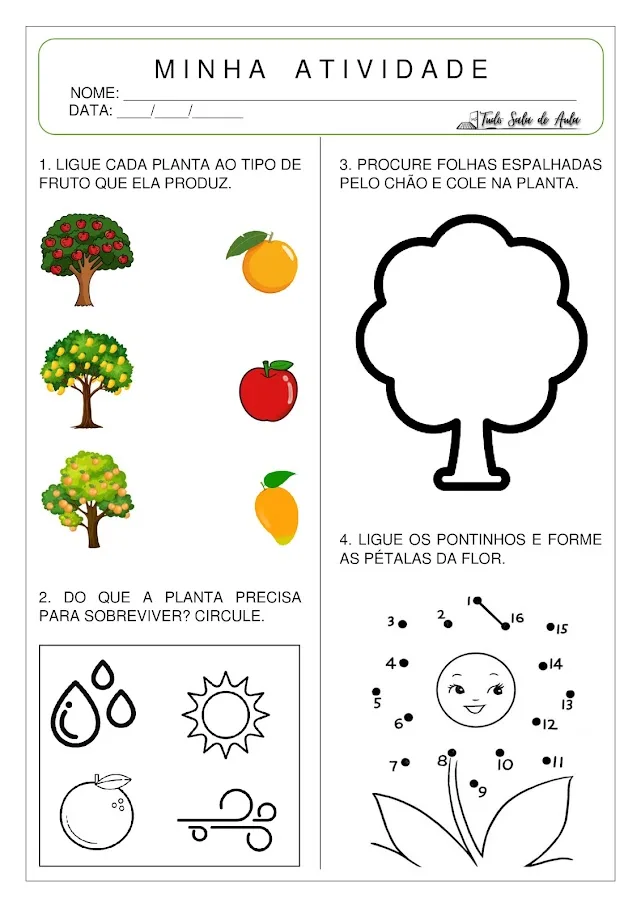 Atividades sobre as plantas educação infantil