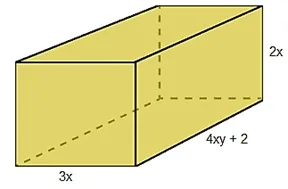 Atividade sobre Monômios e Polinômios - 8º e 9º ano