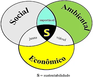 Atividade sobre Sustentabilidade e Saúde Humana - Anos Finais