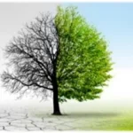 Atividade sobre as mudanças climáticas