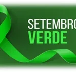 Atividade sobre o Setembro Verde - Pessoas com Deficiência - Anos Finais