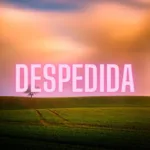 Atividade poema despedida