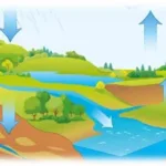 Atividade de Geografia - O Ciclo da Água e do Solo - 4º e 5º ano - Com gabarito