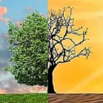 Atividade sobre Mudanças Climáticas - 4º e 5º ano