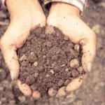 Atividade de Geografia sobre o Solo - Com gabarito