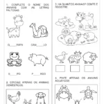 Atividade sobre os Animais
