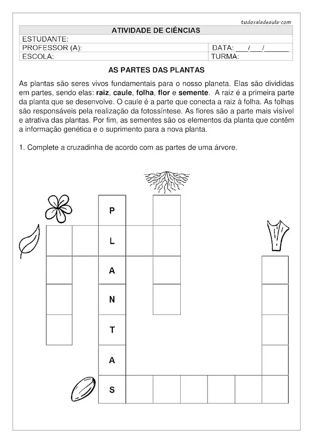 atividade de ciências 2 ano