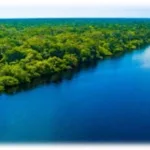 Atividade sobre a Amazônia para o 6º e 7º ano