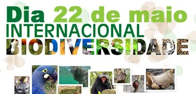 Atividade de biodiversidade