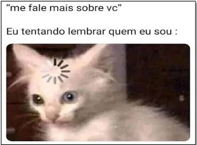 Atividade sobre Memes