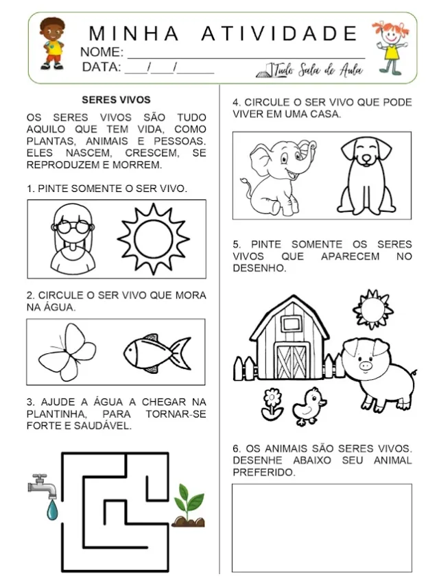 Atividade sobre os seres vivos para a educação infantil