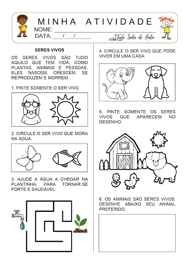 Atividade sobre os seres vivos para a educação infantil