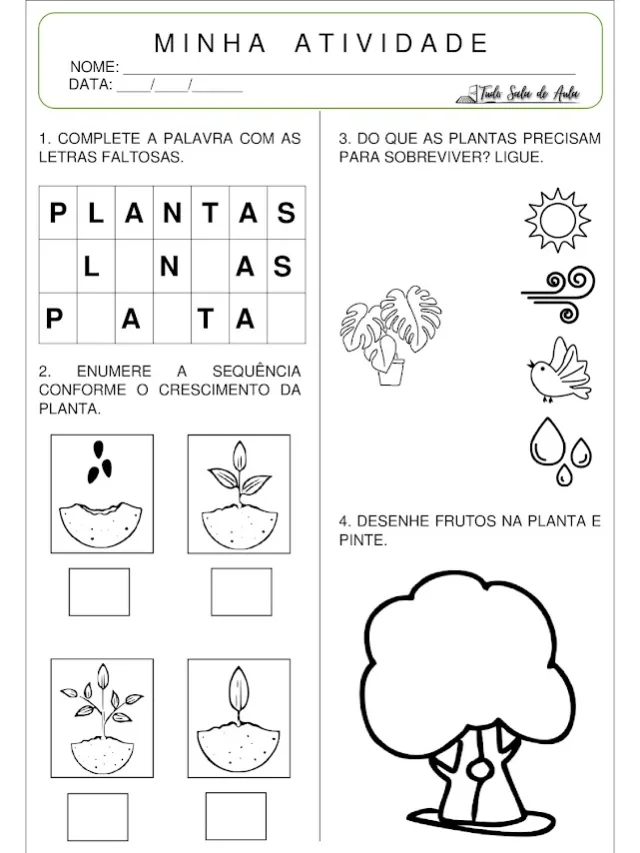 Atividades sobre as plantas educação infantil