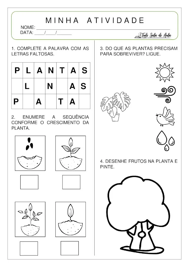 Atividades sobre as plantas educação infantil