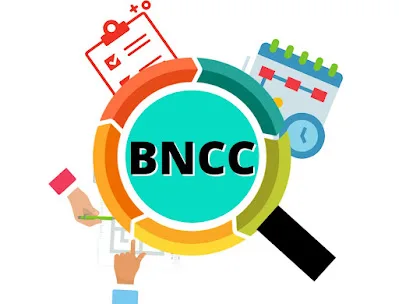 Habilidades BNCC Ensino fundamental