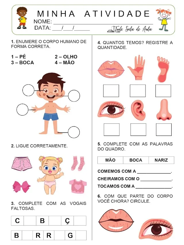 Atividade sobre o corpo humano