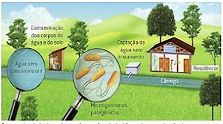 Atividade de Ciências sobre Doenças de Veiculação Hídrica - 7º e 8º ano