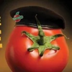 Atividade / Simulado de Português - Propagandas com Intertextualidade - Anos finais