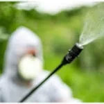 Atividade sobre o Trabalho e o seu impacto na Natureza - 2º e 3º ano