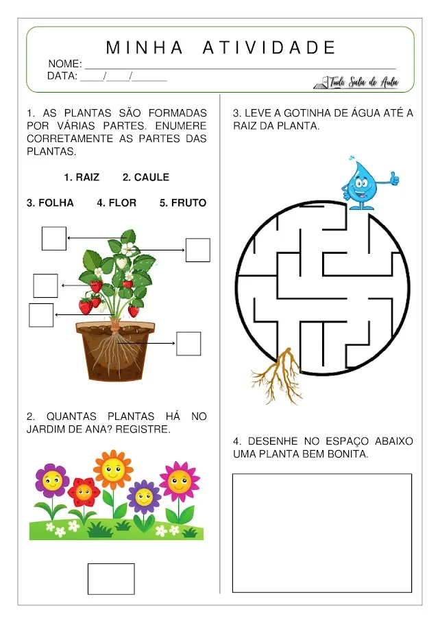 Atividades sobre as plantas educação infantil