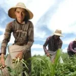 Atividade de Geografia - O Trabalho do Homem no Campo - 4º e 5º ano - Com gabarito