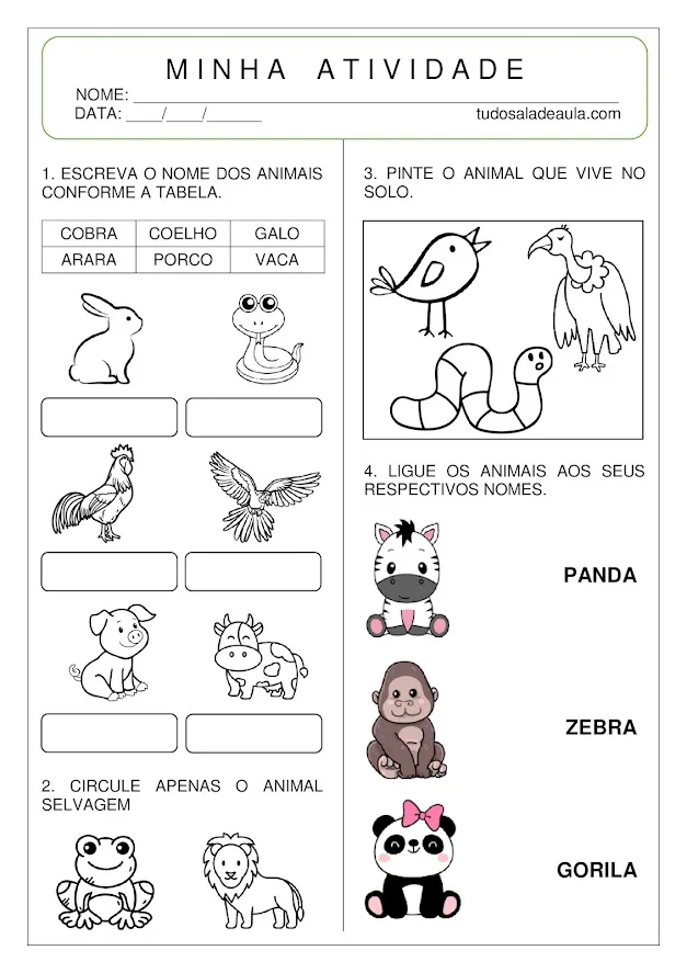 Atividade sobre os Animais