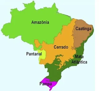 Atividade de Geografia - Mapas e seus Elementos - 4º e 5º ano - Com gabarito