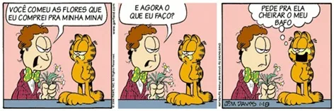 tirinha Garfield pronome