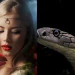 A Bela e a Cobra