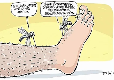 atividade sobre a dengue