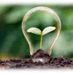 Atividade de Ciências sobre Fontes de Energia 6º ano