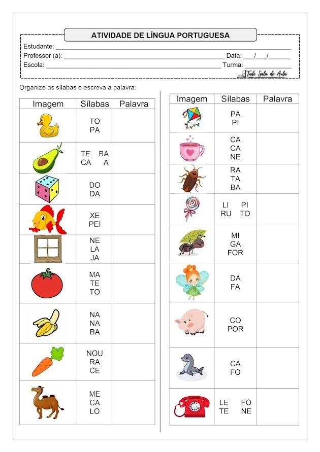 Atividade de Alfabetização Nível Silábico