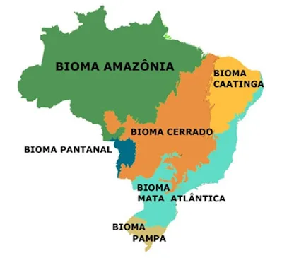 atividade sobre biomas