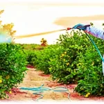 Atividade trabalho e meio ambiente