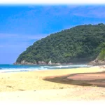 Atividade de Português - Crônica: A Praia - Rubem Braga - 8º Ano - 9º Ano - Com gabarito