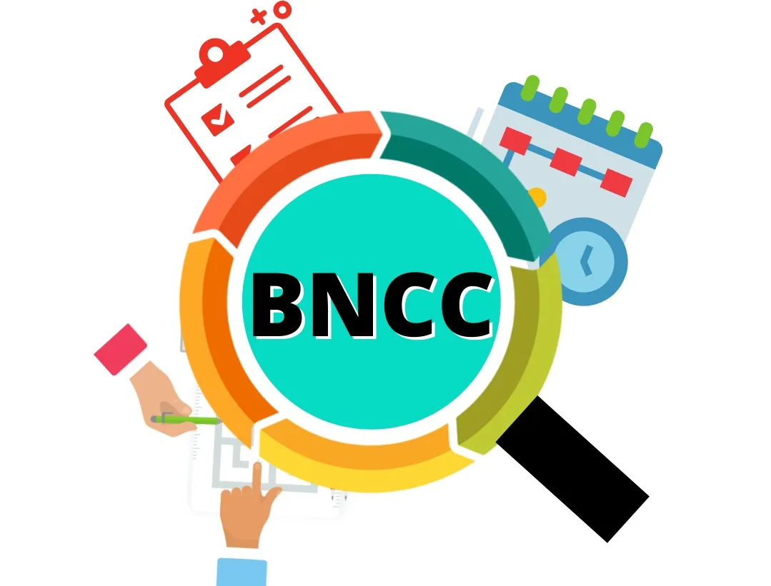 Habilidades da BNCC