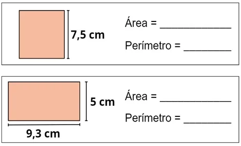 atividade área e perímetro 6º e 7º ano