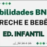 Habilidades BNCC da Educação Infantil - Creche (Bebês)