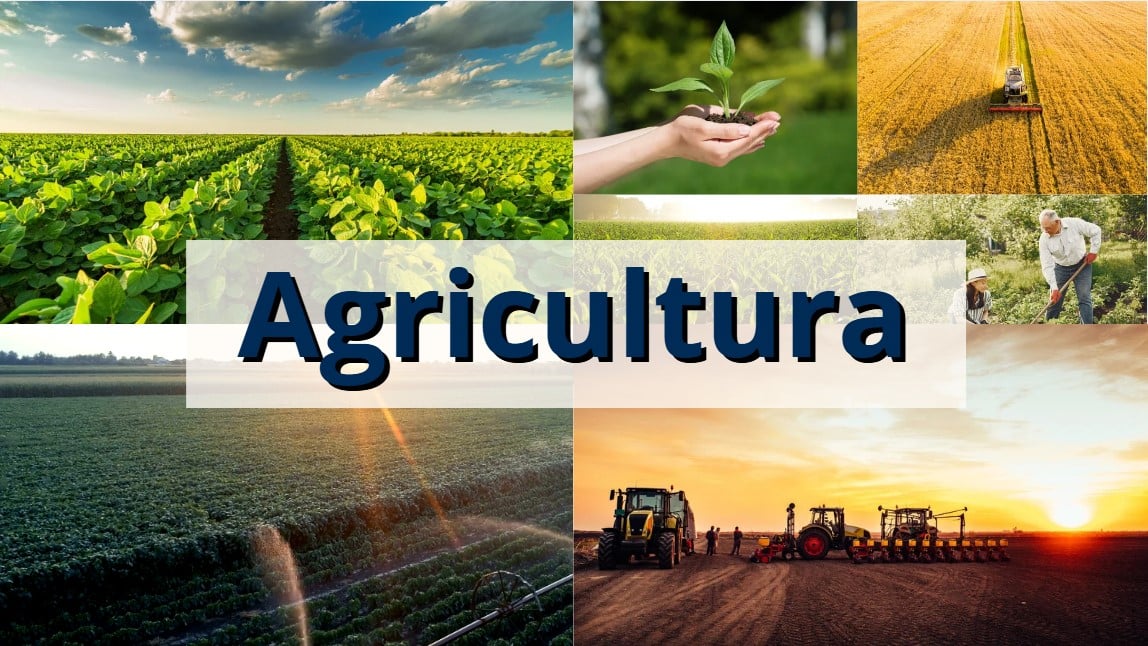 atividade sobre agricultura