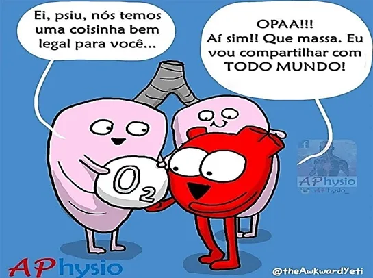 Atividade sobre sistema circulatório