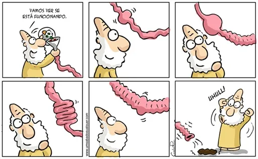 Atividade sistema digestório