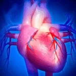 sistema cardiovascular