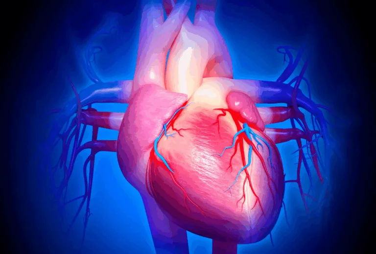 sistema cardiovascular