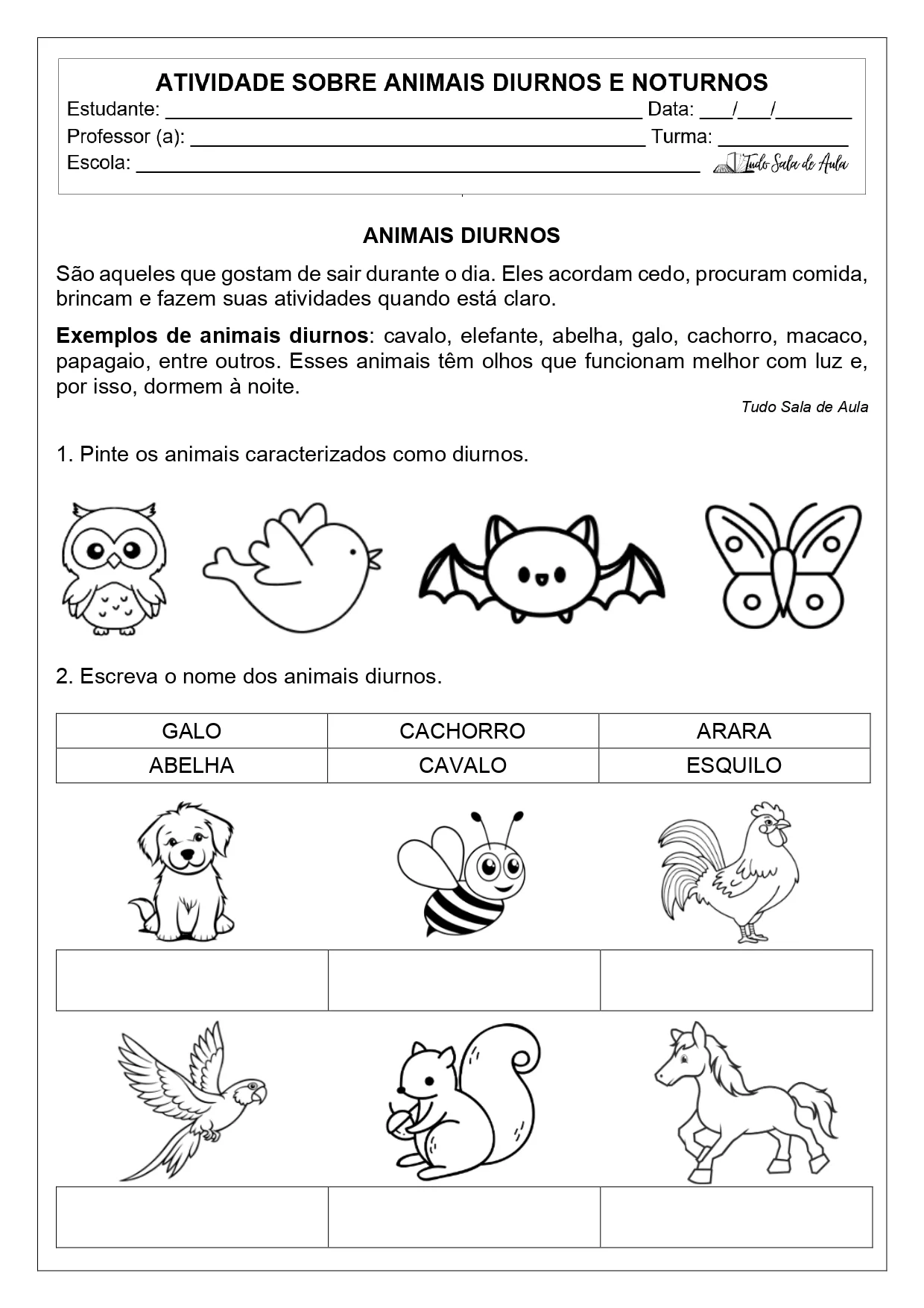 Atividades sobre os Animais Diurnos e Noturnos para imprimir