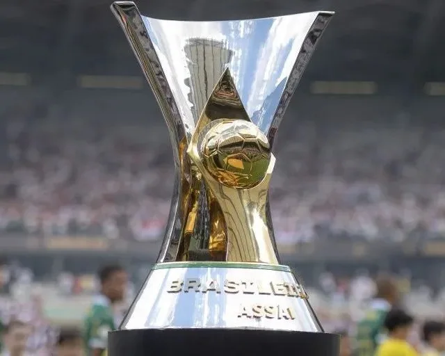 Atividade sobre o Campeonato Brasileiro - Anos Finais