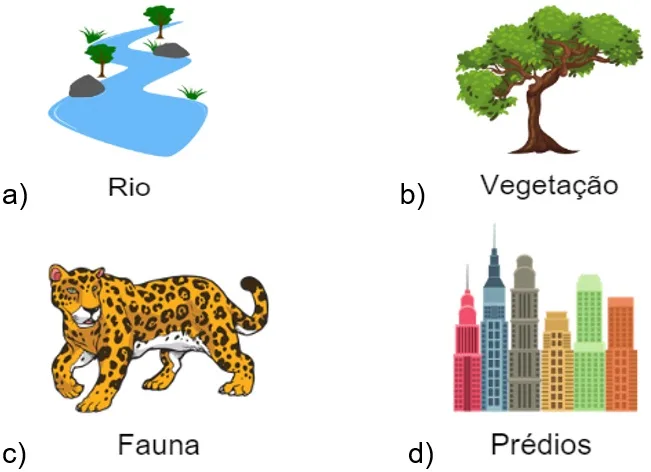 Dia da terra atividade interdisciplinar
